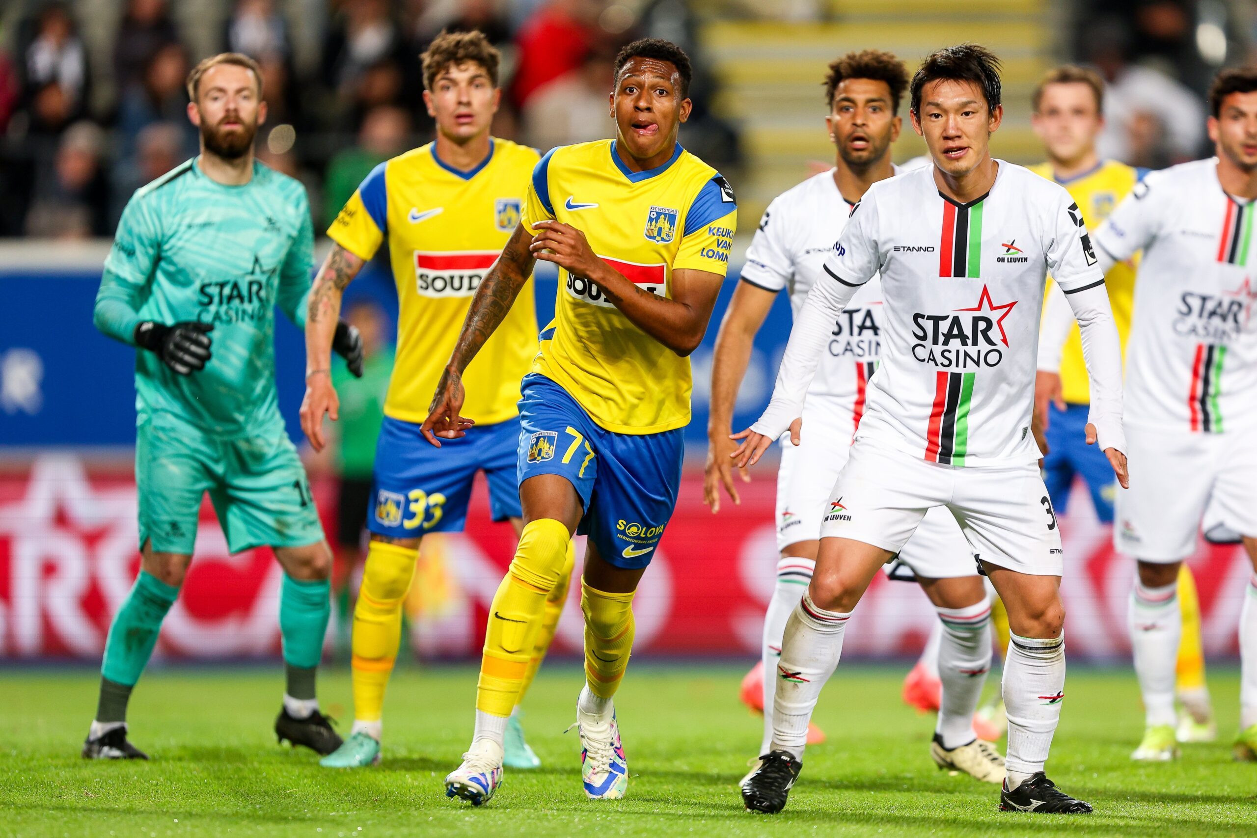 Samenvatting OH Leuven - KVC Westerlo