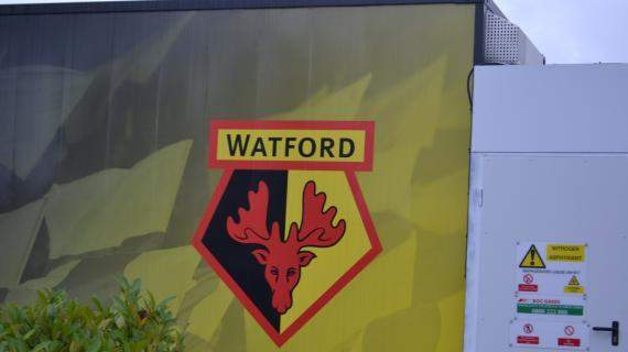 Watford, ore calde per l