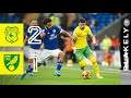 Cardiff vs Norwich 2:1