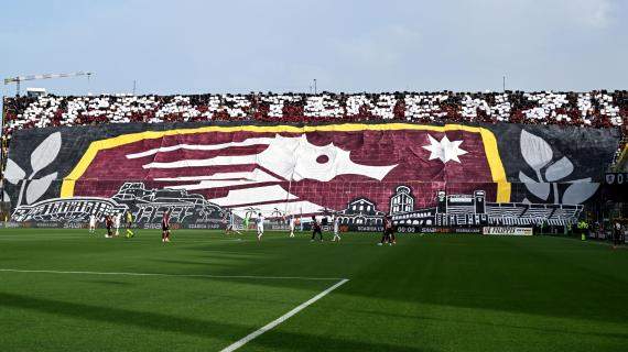 Salernitana, scatta la protesta dei tifosi: "Sciopero per 15