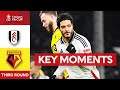 Fulham vs Watford 4:1