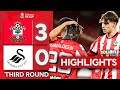 Southampton vs Swansea 3:0