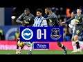 Brighton vs Everton 0:1