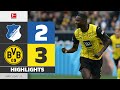 Hoffenheim vs Borussia Dortmund 2:3