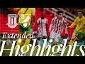 Stoke vs Norwich 1:1