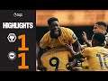 Wolves vs Brighton 1:1