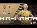 Arsenal vs Crystal Palace 1:0