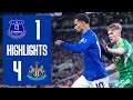 Everton vs Newcastle 1:4